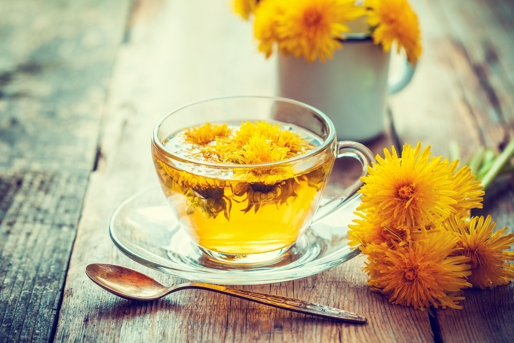 Dandelion Tea For Weight Loss