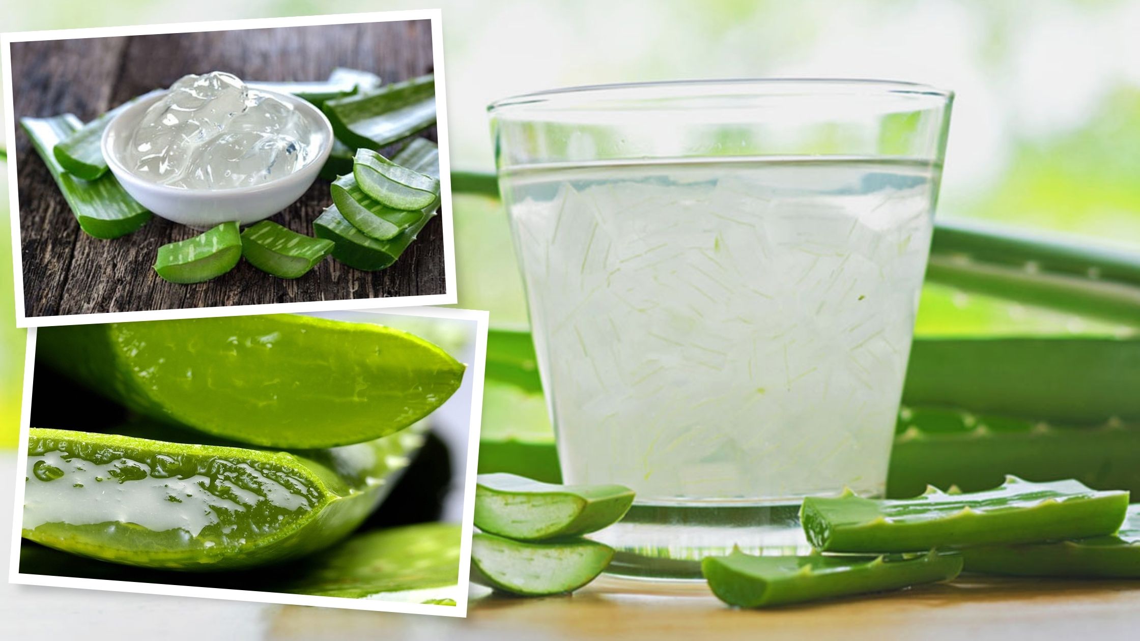 Aloe Vera Drink