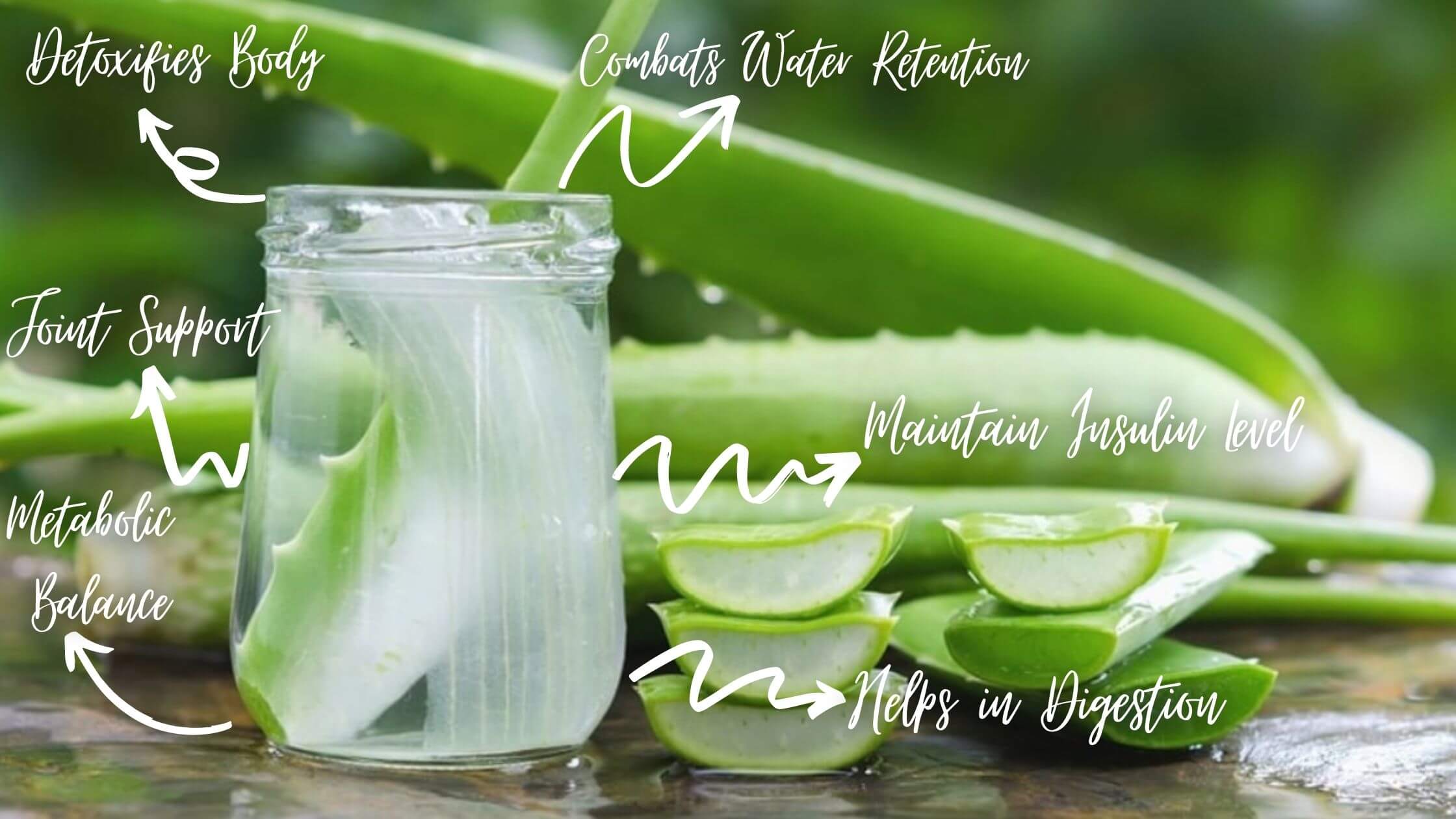 Benefits Of Adding Aloe Vera For Weight Loss