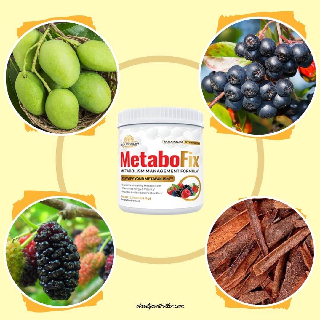 MetabioFix ingredients