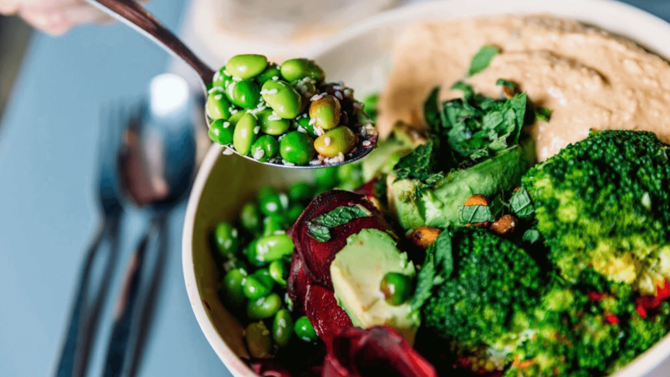 What Are The Difference Between A Plant-Based And Vegan Diet 