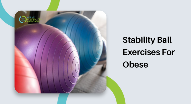 Stability Ball Exercises For Obese | Workout Guide 2022