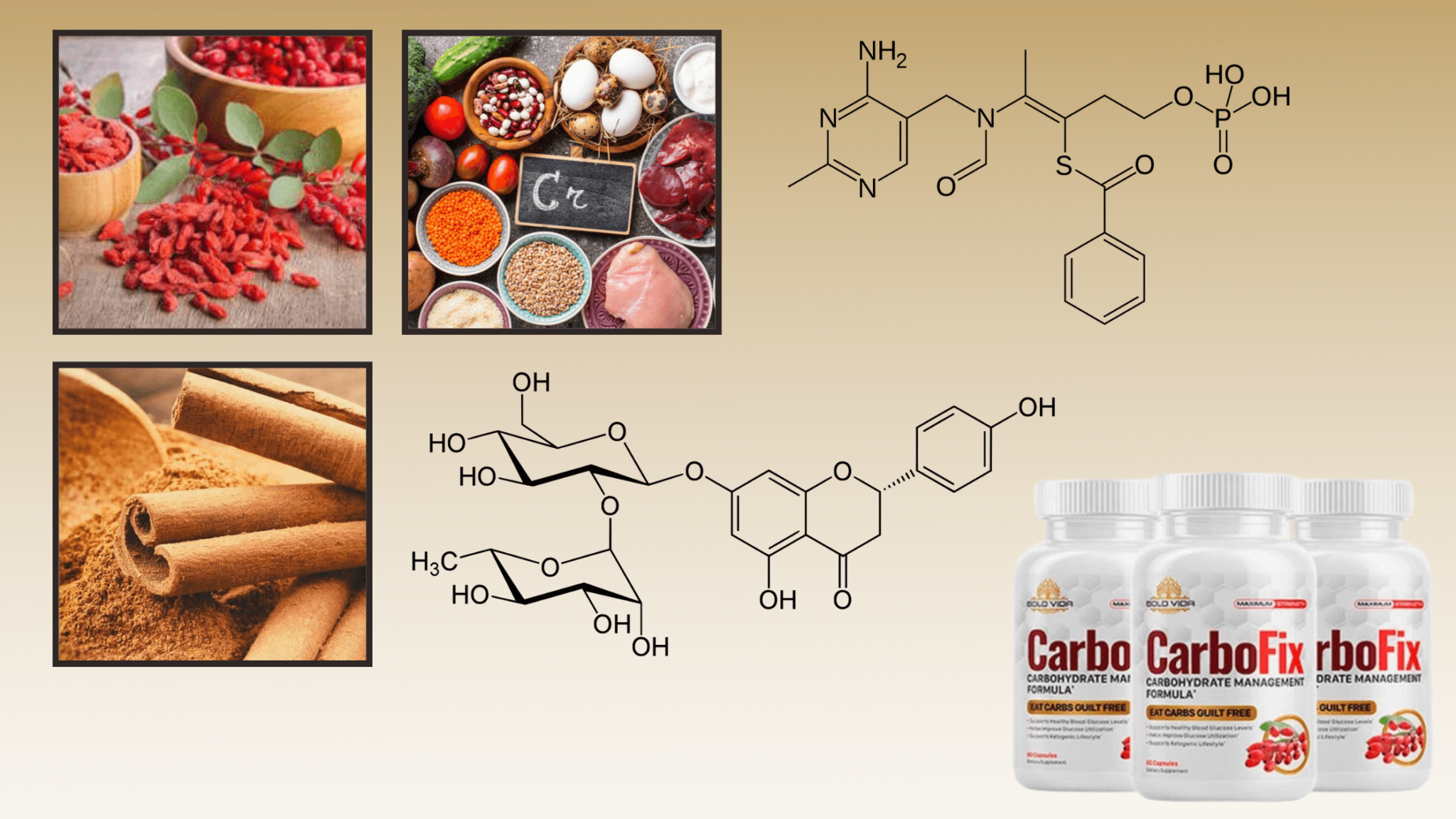 CarboFix Ingredients