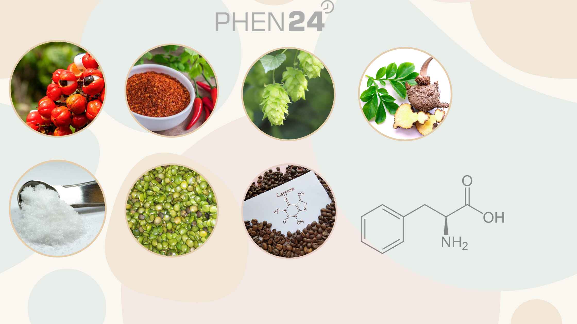 Phen24 Ingredients