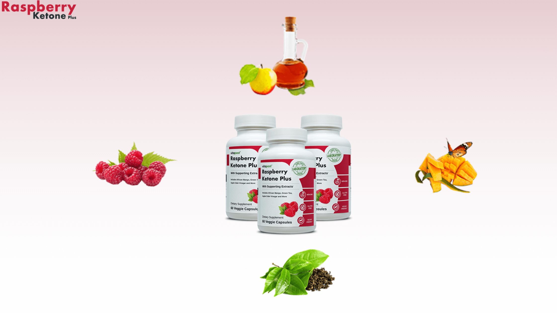 Raspberry Ketone Plus Ingredients