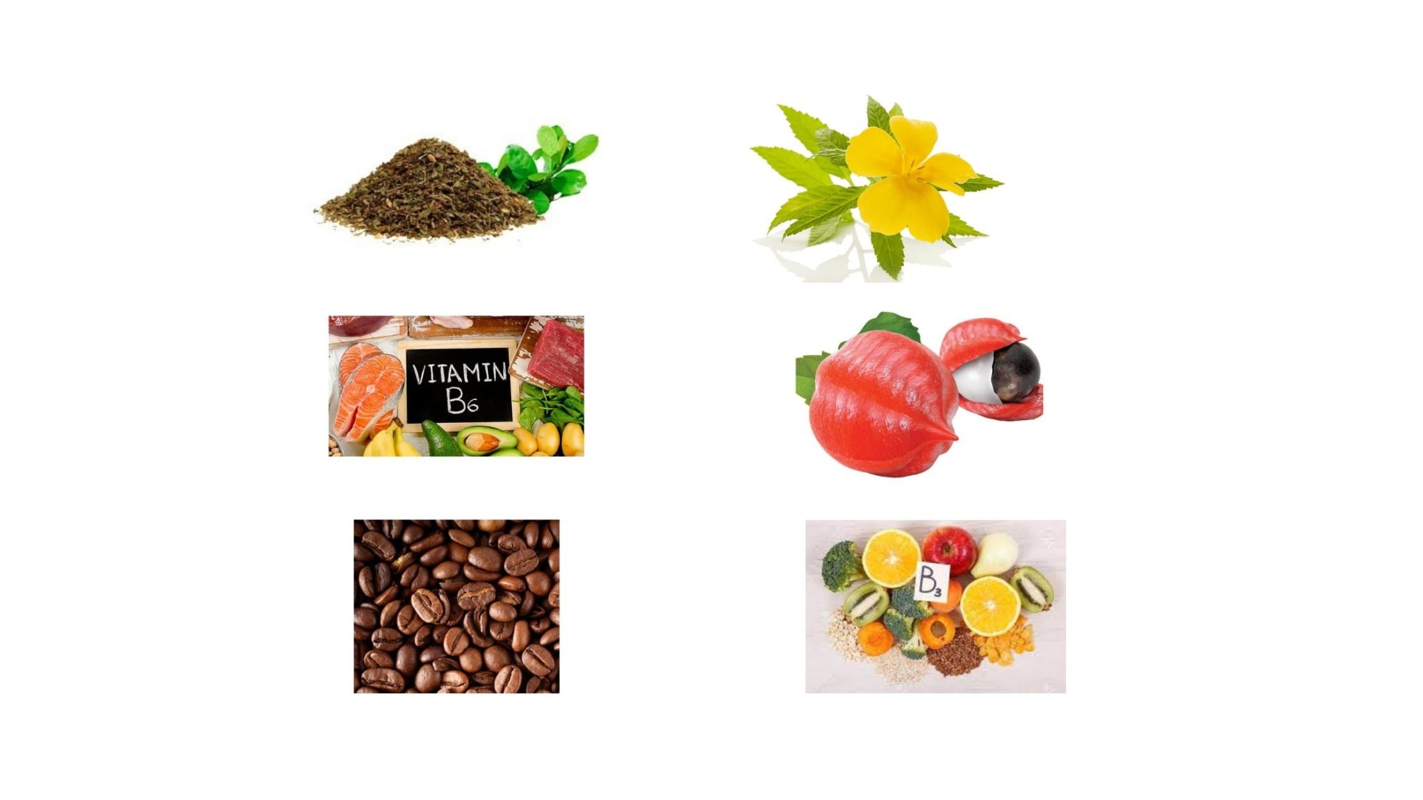 Zotrim Ingredients