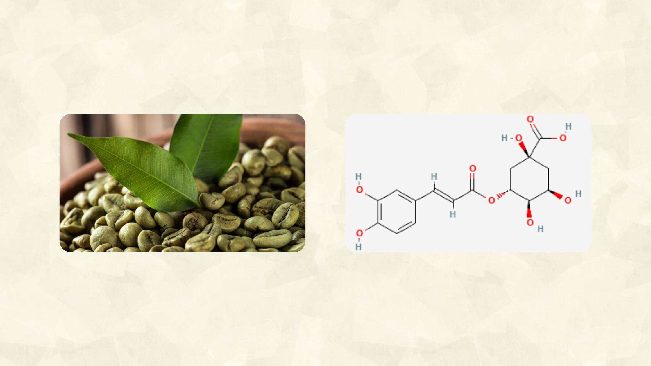 Green Coffee 5K Ingredients