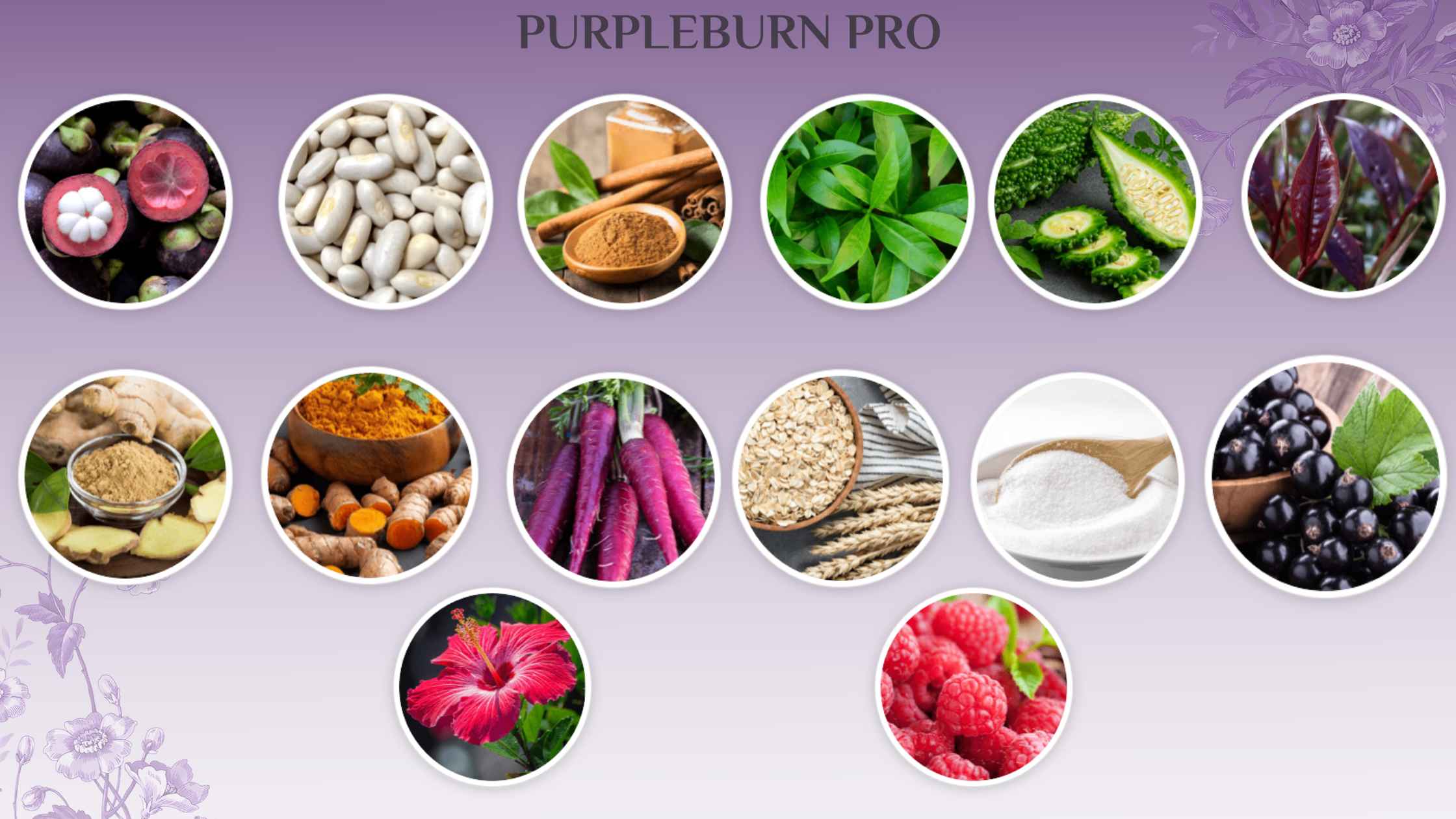Purple Burn Pro Ingredients
