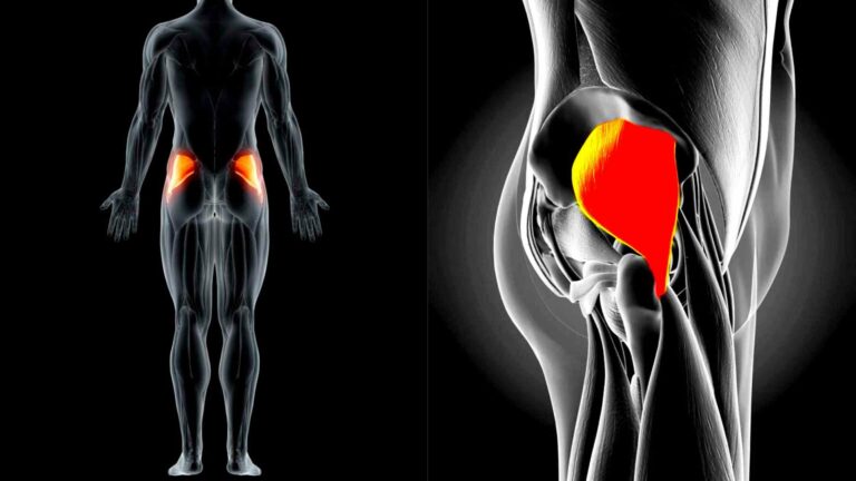 Best Gluteus Minimus Exercises For Improved Posture And Stronger Hips