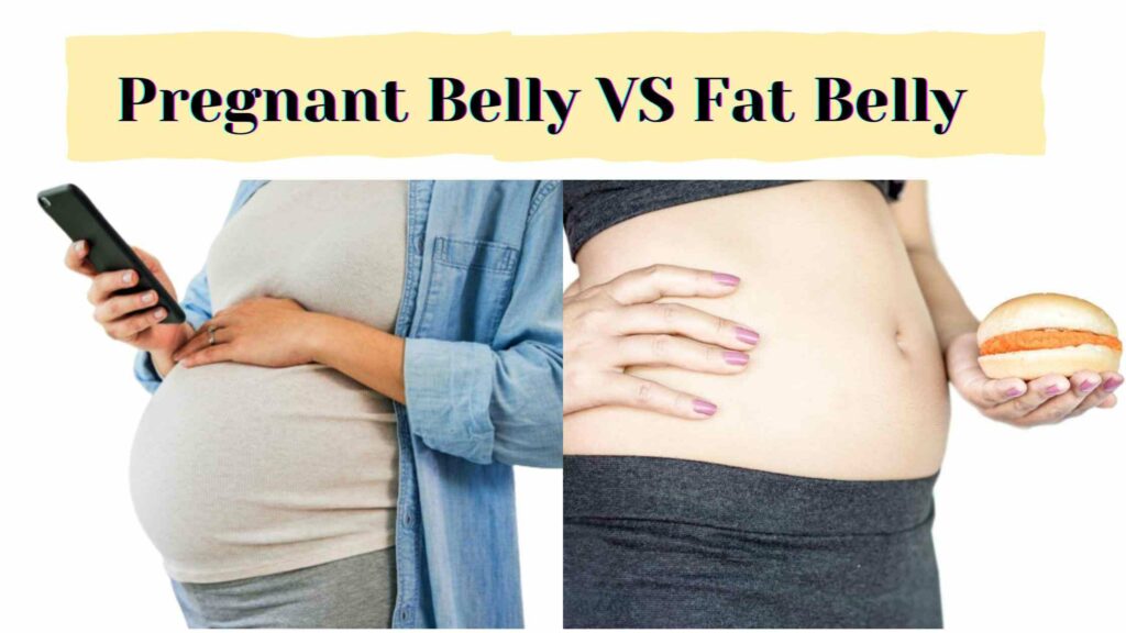 Difference Between A Fat Belly And A Pregnant Belly Pregnant Belly And Fat Belly: Know The Difference