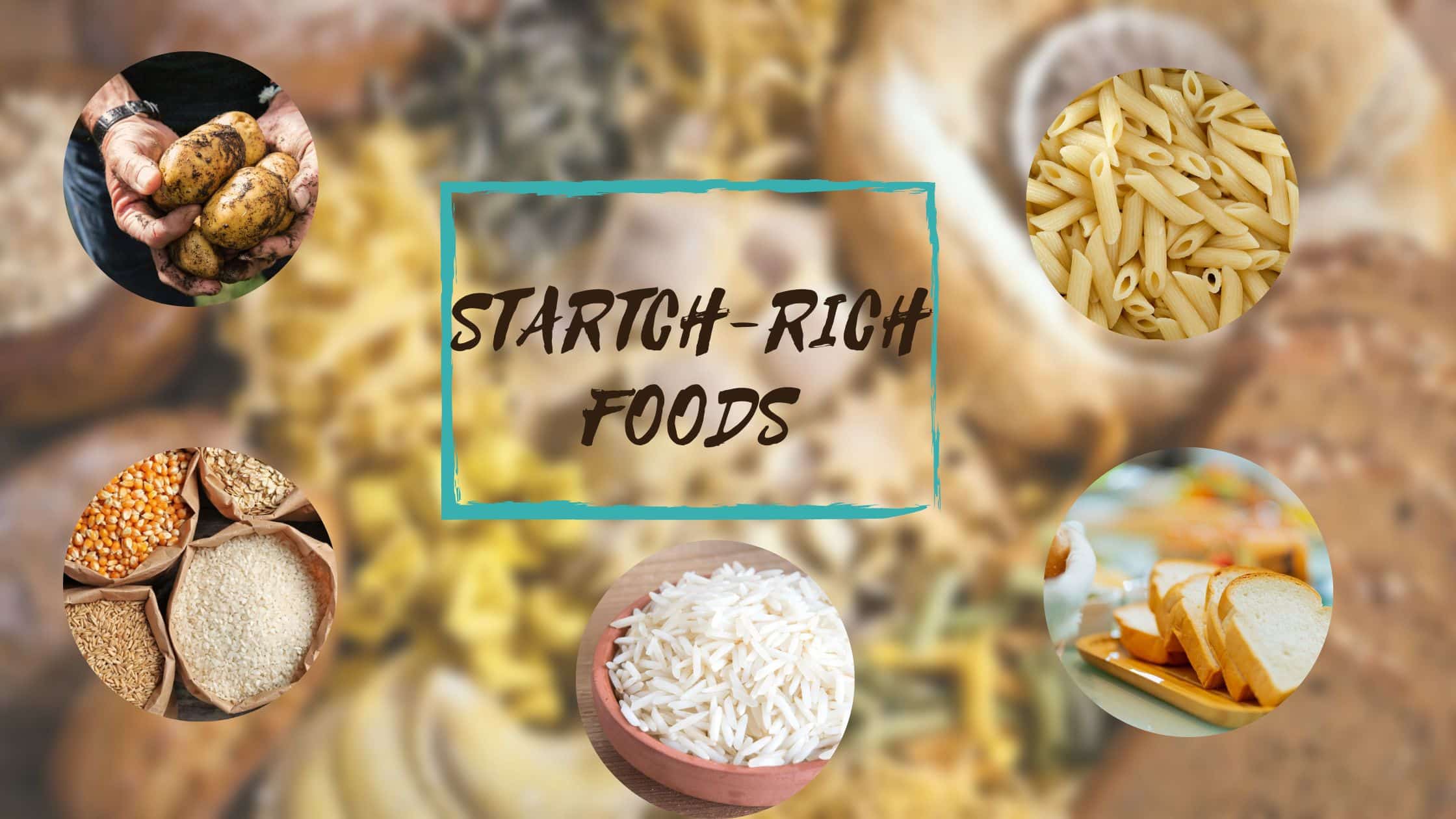 Starch Rich Food You Should Avoid