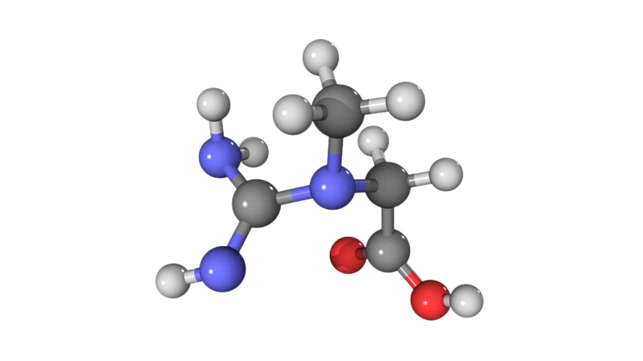 Creatine To Lose Belly Fat