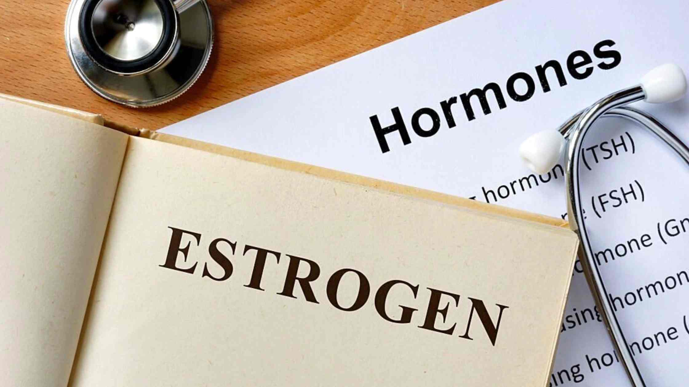 Estrogen