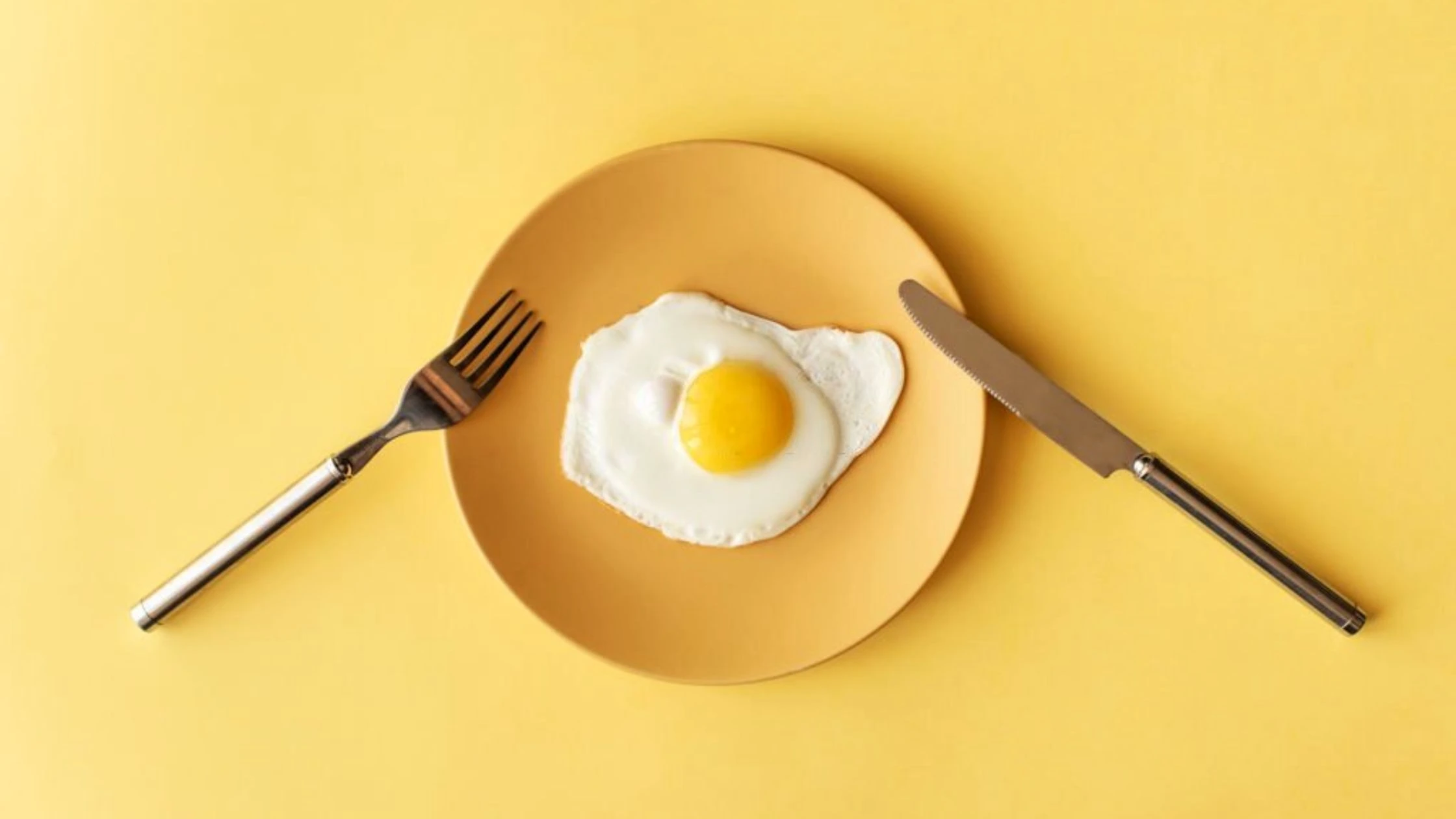 10-Day Egg Diet