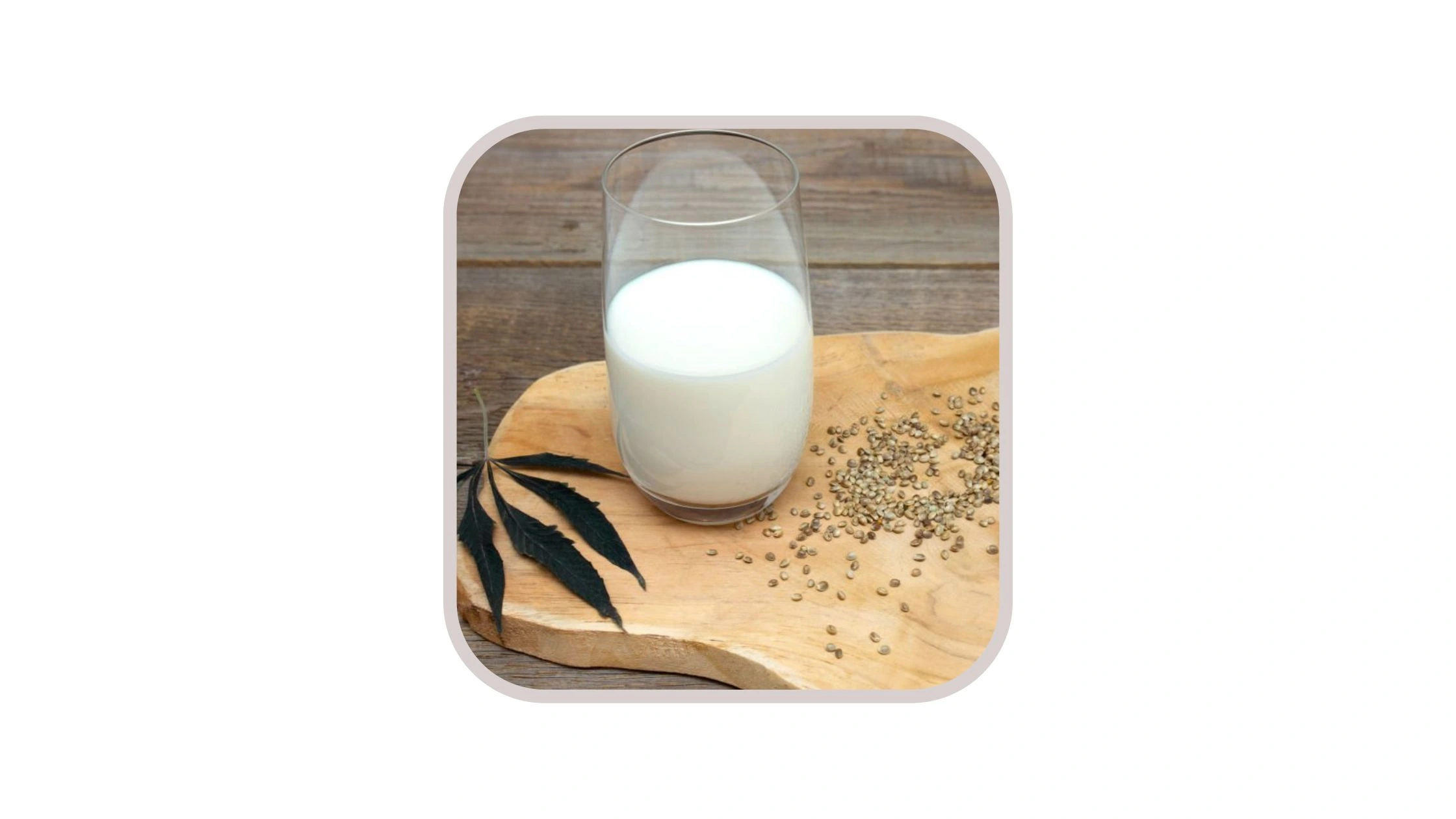 Hemp Milk For Weight Loss