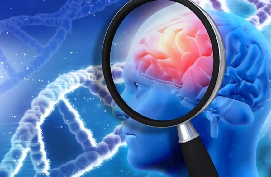 Obesity And 21 Genes Of Alzheimer’s Disease
