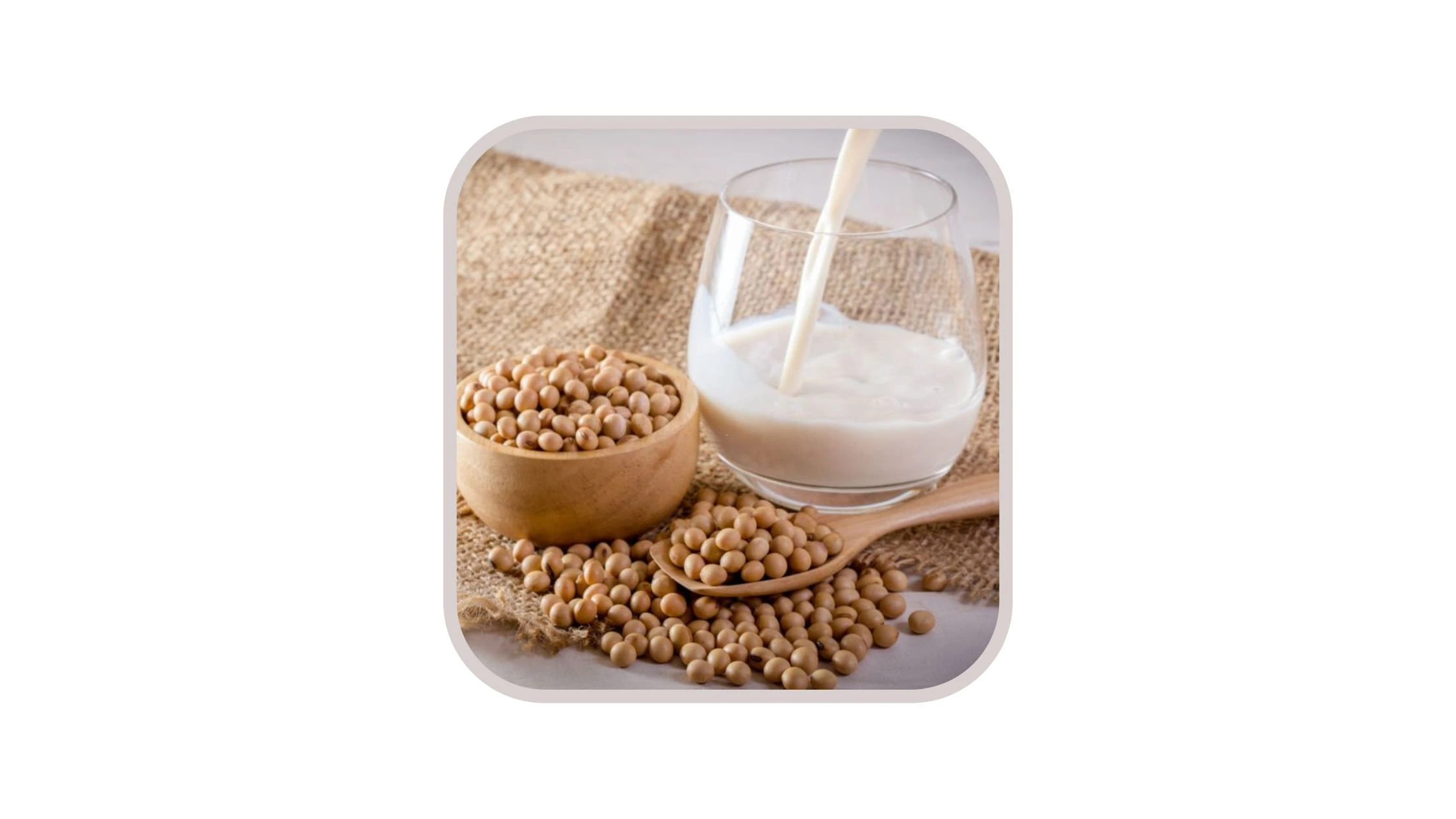 Soy Milk For Weight Loss