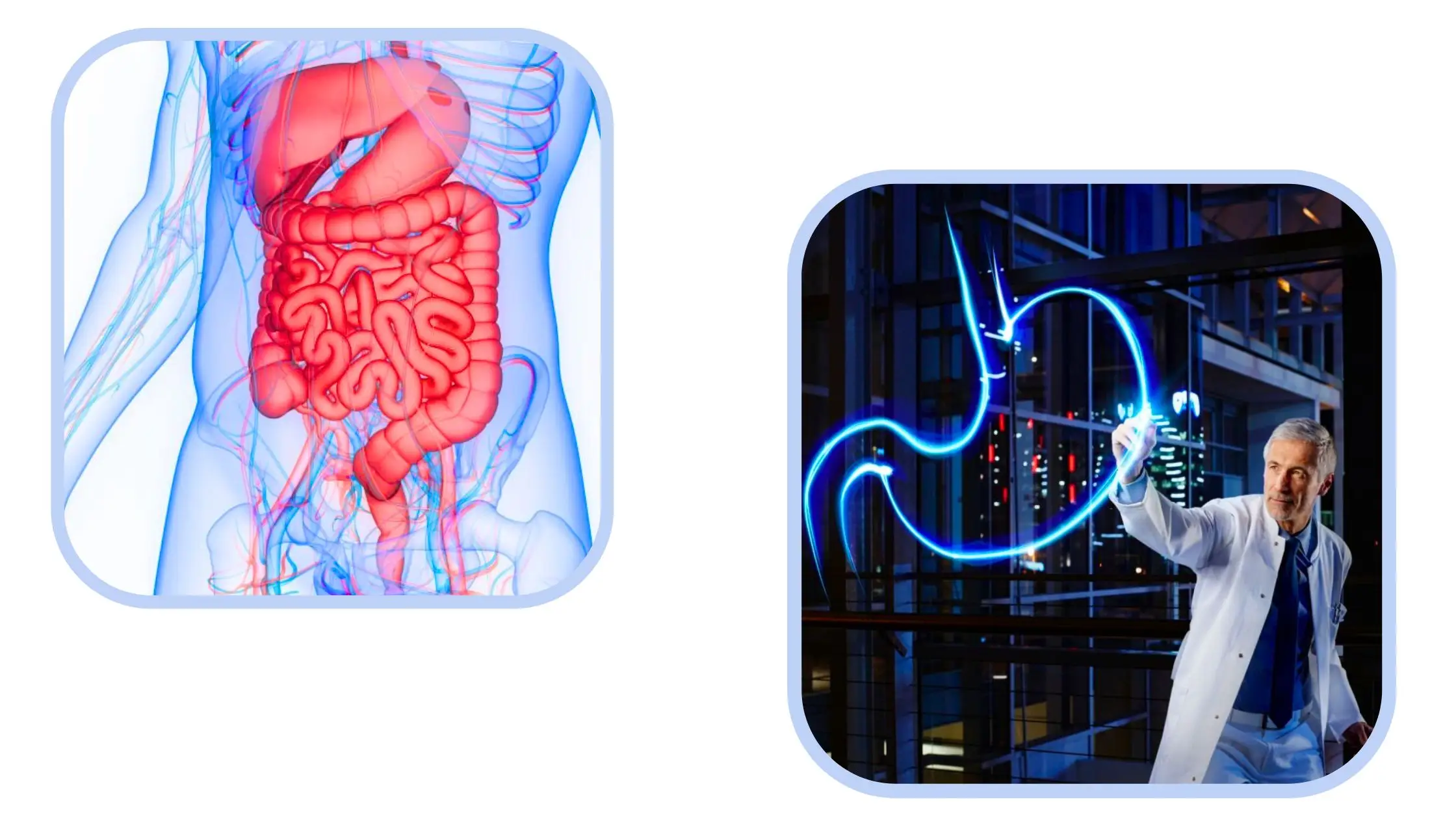 Procedures performed by a gastroenterologists