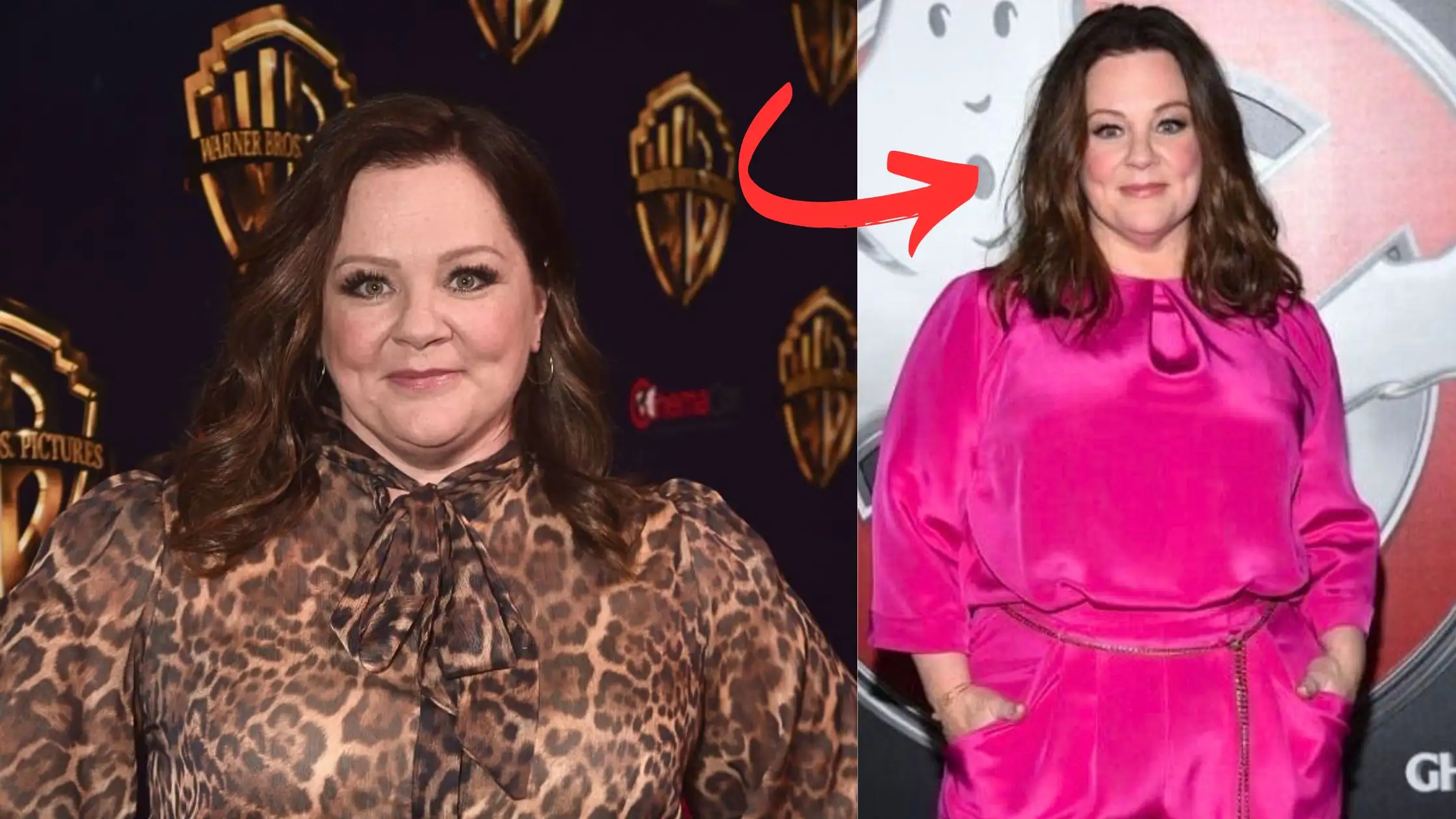 Melissa McCarthy Weight Loss