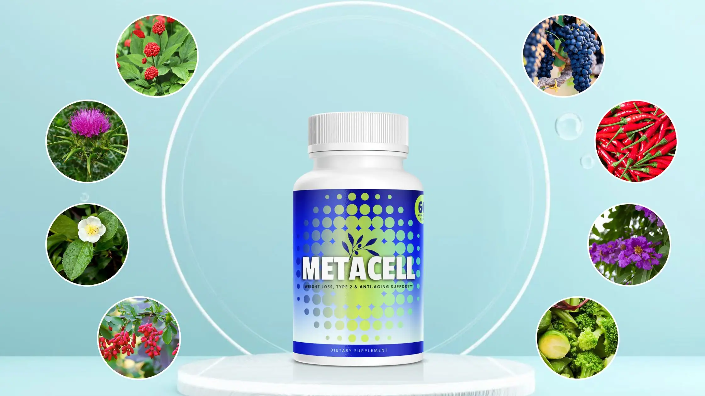 Metacell Ingredients