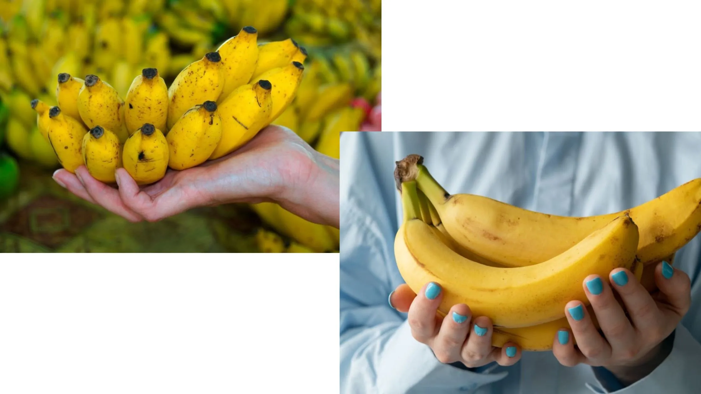 Properties Of Ripened  Bananas