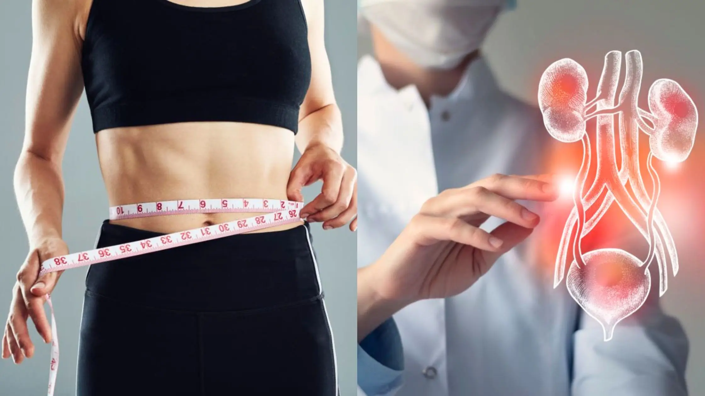 Weight Loss And Kidney Function