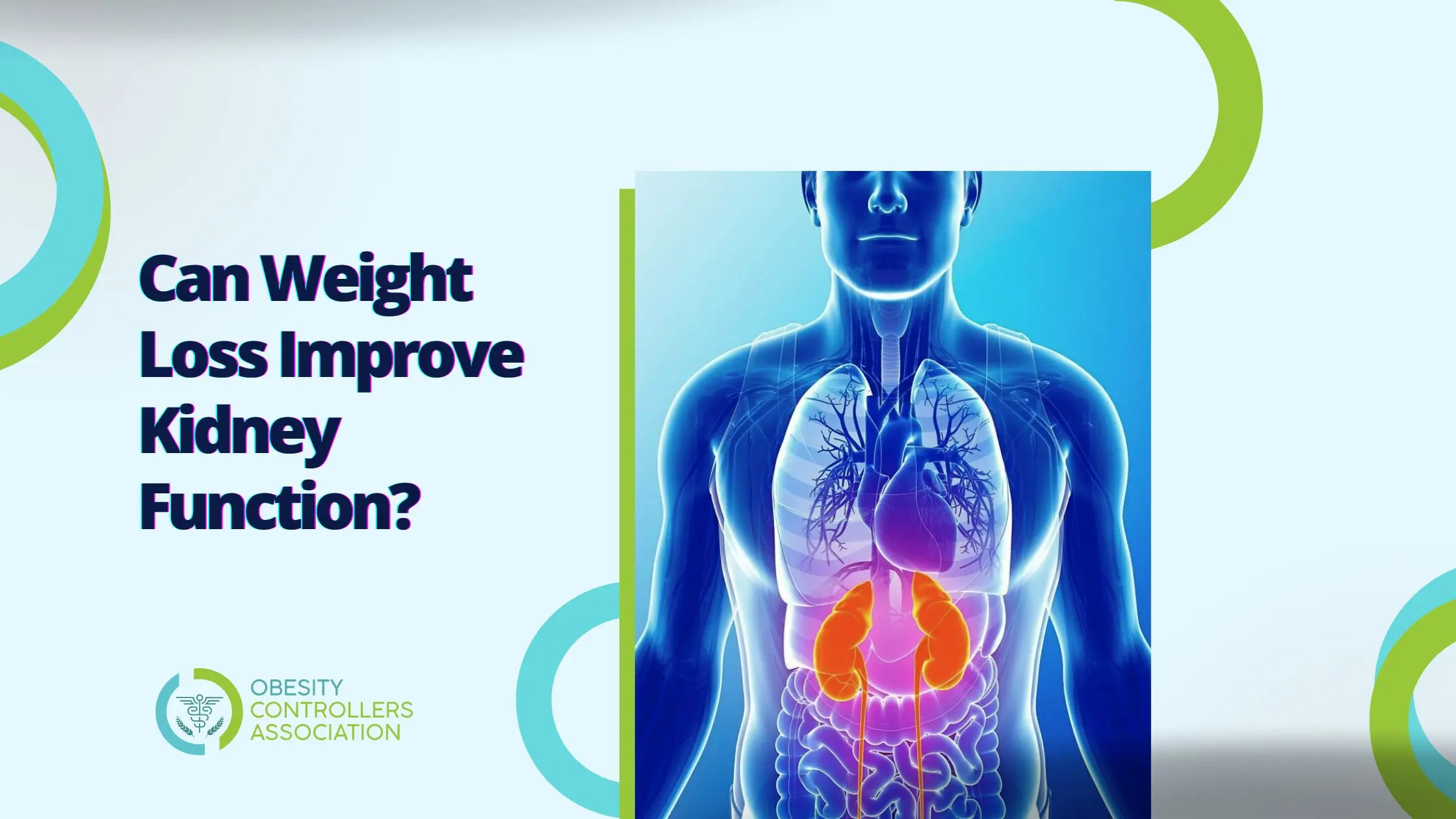Weight Loss Improve Kidney Function